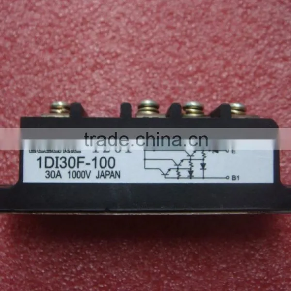 1DI30F-100 photo-2