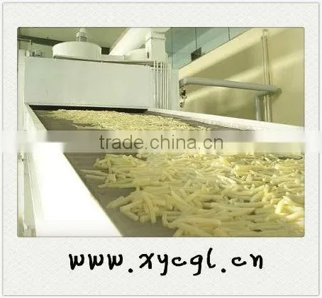 Professional Onion Belt Dryer Made in China photo-6