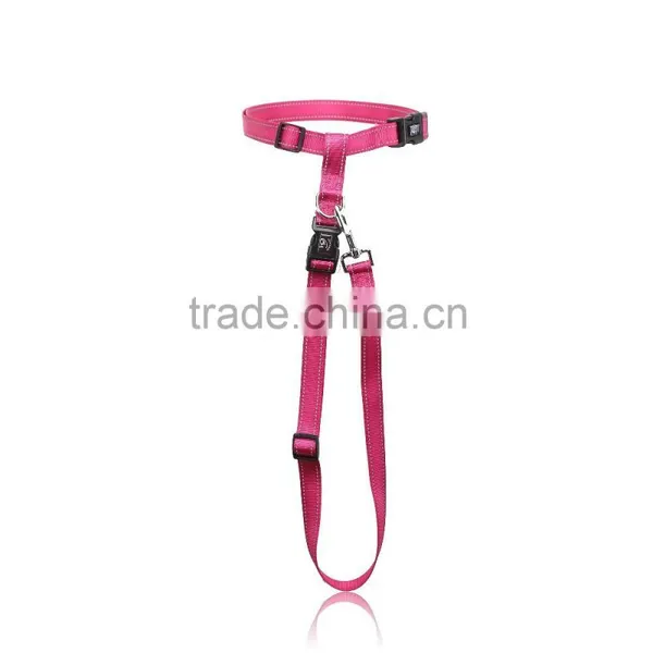 Custom Print Logo Dog Leash Retractable photo-3