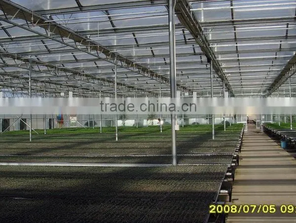 Polycarbonate Sheet Multi-span Greenhouse