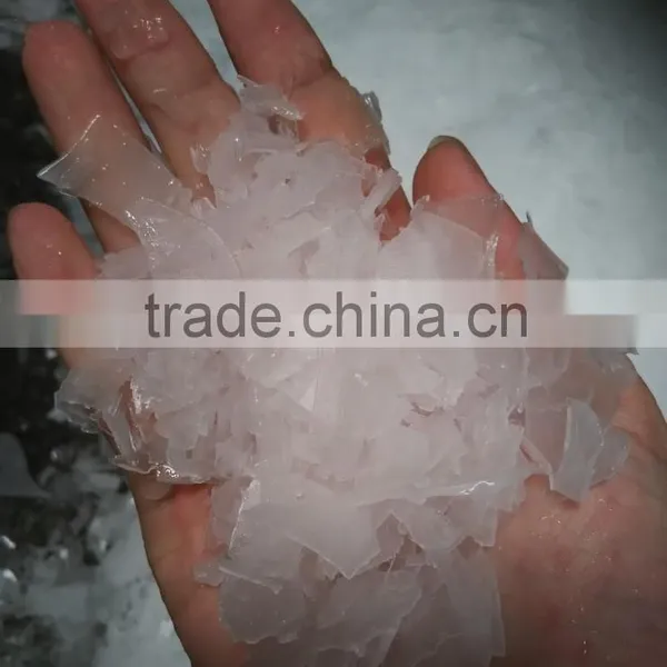 10 Tons Production Flake Ice Machin Price For Fishery photo-6