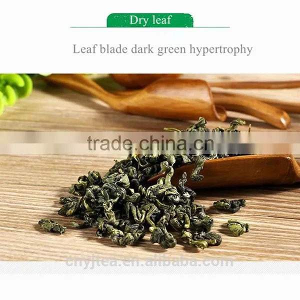 Green Tea Product Type Organic and Best-selling Organic Green Tea photo-2