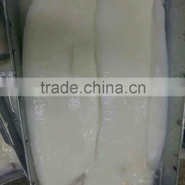 Giant Squid Fillet photo-2