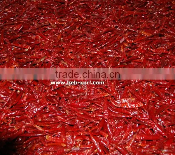 Dry Red Small Chilli