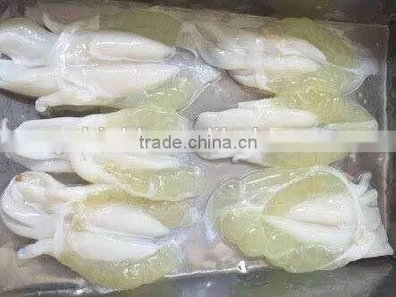 2016 Best Selling Frozen Illex Squid Roe Grade A