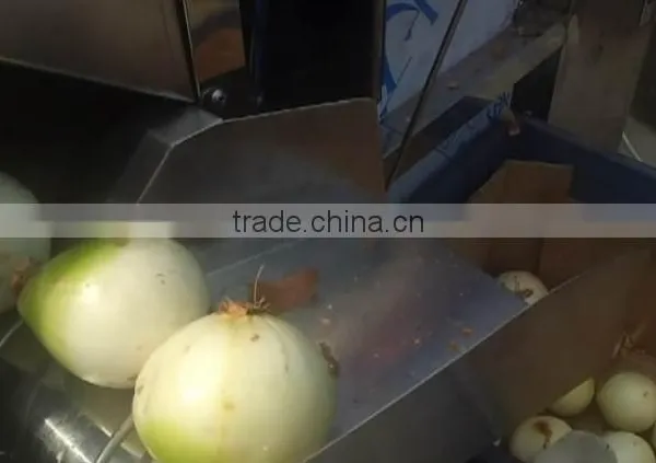 Three Belts Onion Peeling Machine/peeling Onion Machine/onion Stripper/onion Processing Machine photo-4