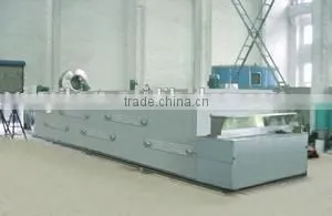 DW mesh-belt fruit drying machine
