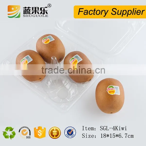 Clear Plastic Container for 4 Pcs Kiwis photo-4