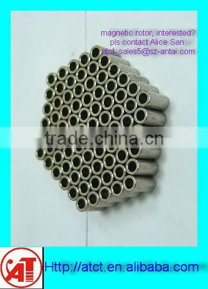 China Magnets/magnet Rotor