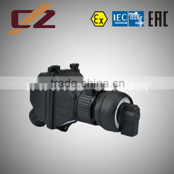ATEX And IECEX Certificate IP66 2 Pole Explosion Proof Switch photo-2
