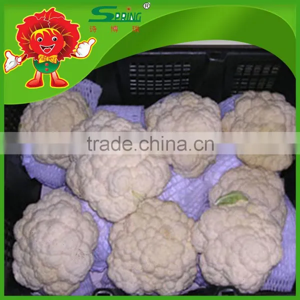 Organic Green Vegetables Fresh Cauliflower From Yunnan photo-2