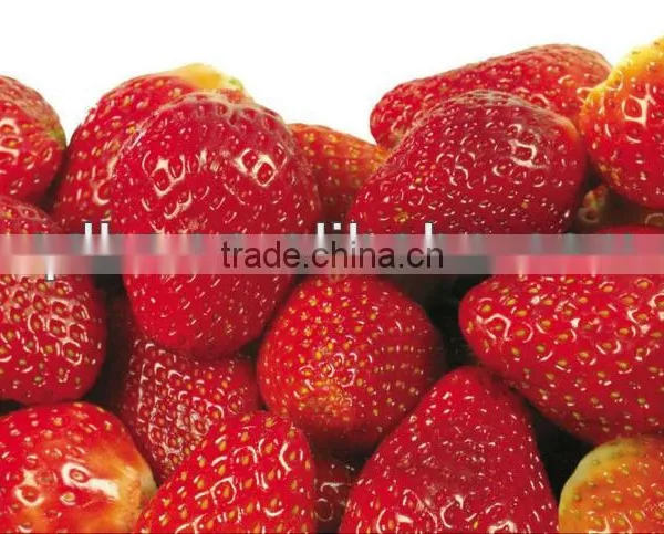 Frozen Strawberry photo-4