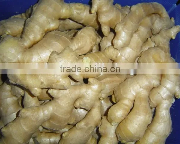 Fresh Air Dried Ginger photo-4