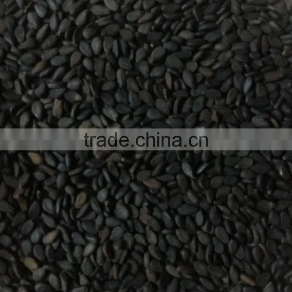 Best Quality Khulna's Sesame Seeds