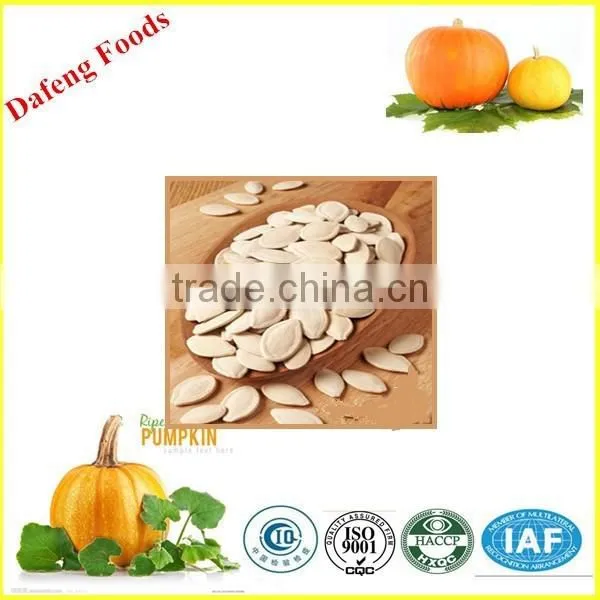 Wholesale China Shine Skin Pumpkin Seeds photo-2