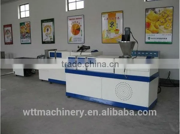 200KG/H Artificial Rice Production Plant