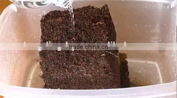 4 Ton/hour Industrial Coco Peat Rotary Drum Dryer/Cire Fibre Drying Equipment for Coconut Shell Machine photo-5