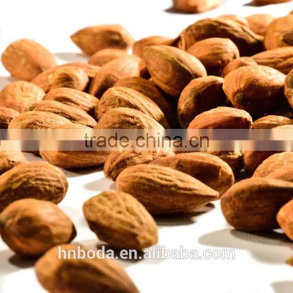 Cashew Nut Hot Air Machinery photo-6