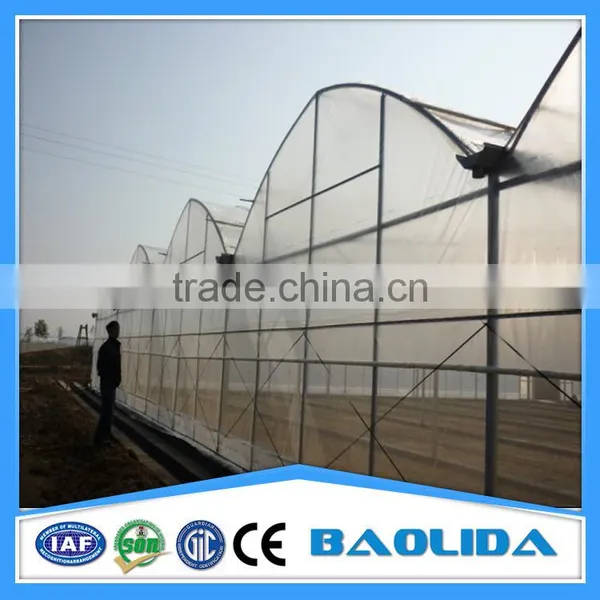 Greenhouse Mesh Made in China photo-6