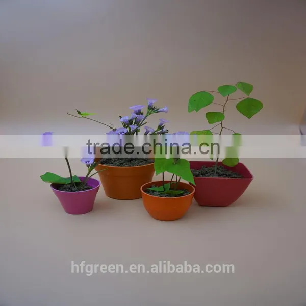 Biodegradable Bamboo Fiber Mini Flower Pot photo-2