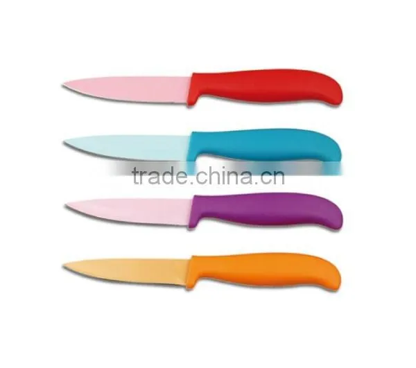 Wholesale Stainless Steel Fruit Paring Knife photo-2