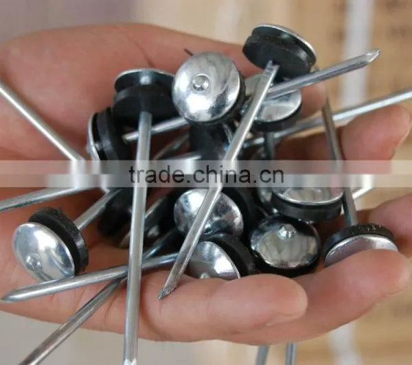 Roofing Nails/roofing Nail Supplies photo-6