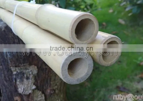 Decorative Short Bamboo Canes photo-2