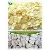Dried Garlic Flake photo-2
