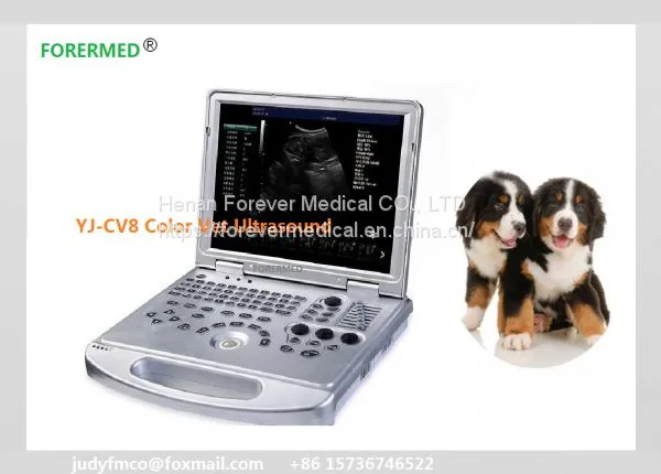 Portable Color Doppler Ultrasound With CE photo-5