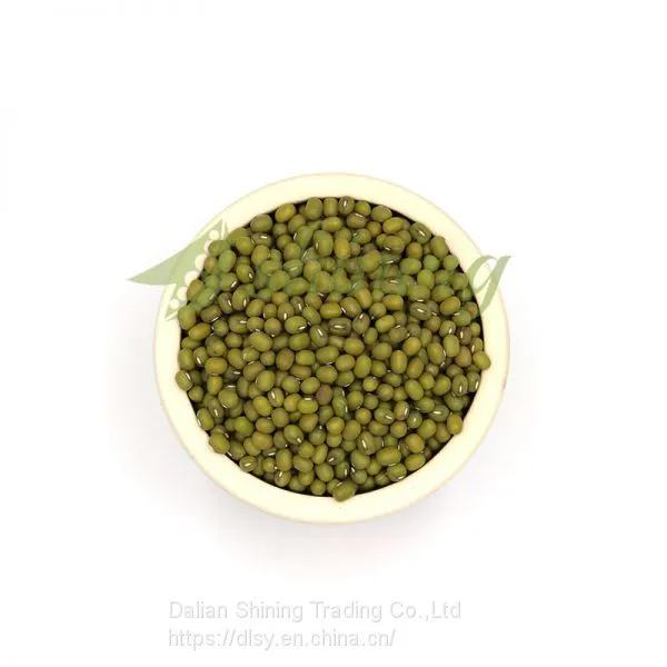 Wholesale Chinese Bulk Artificial Dried Mung Green Beans photo-5