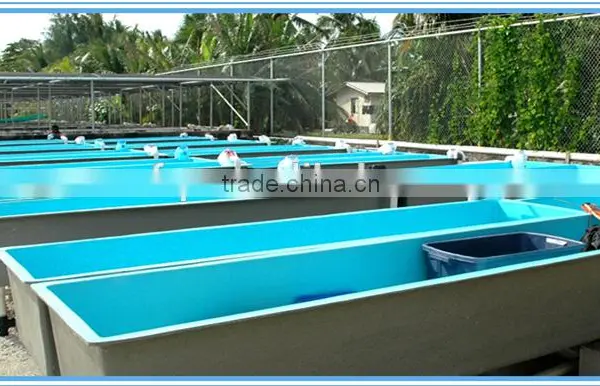 Fiberglass Reinforced Plastic Fishtanks Indoor Fish Farm Design photo-3