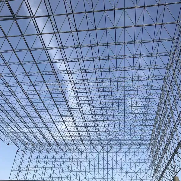 Steel Structure Space Frame Light Steel Coal Storage Grid Steel Structure photo-5