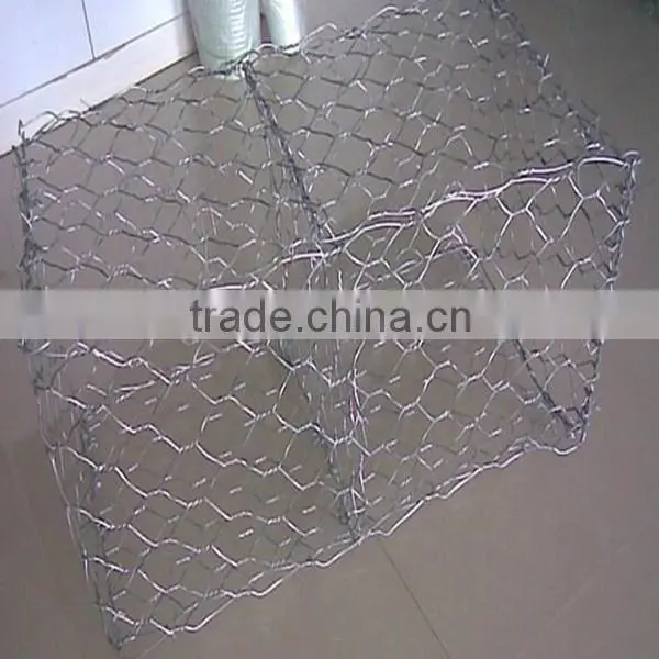 Gold Supplier Hexagonal Wire Netting(ISO and SGS) photo-3