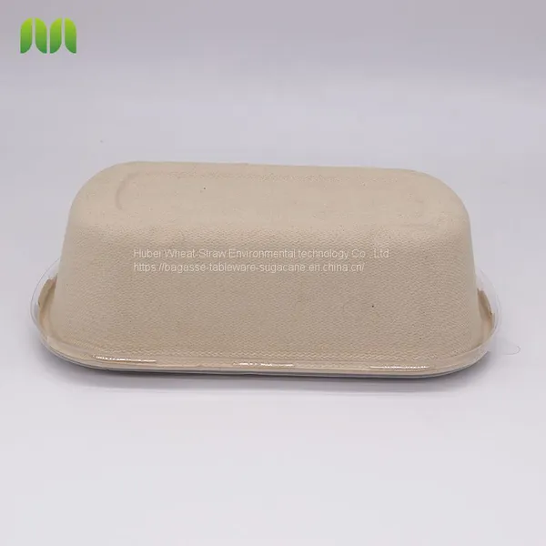 New Hot Disposable Biodegradable Single Compartment Salad Box Bagasse Food Box Take Away Sugarcane Container photo-5