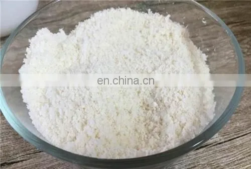 NATURAL COCONUT MILK POWDER SPECIAL FROM VIETNAM photo-3
