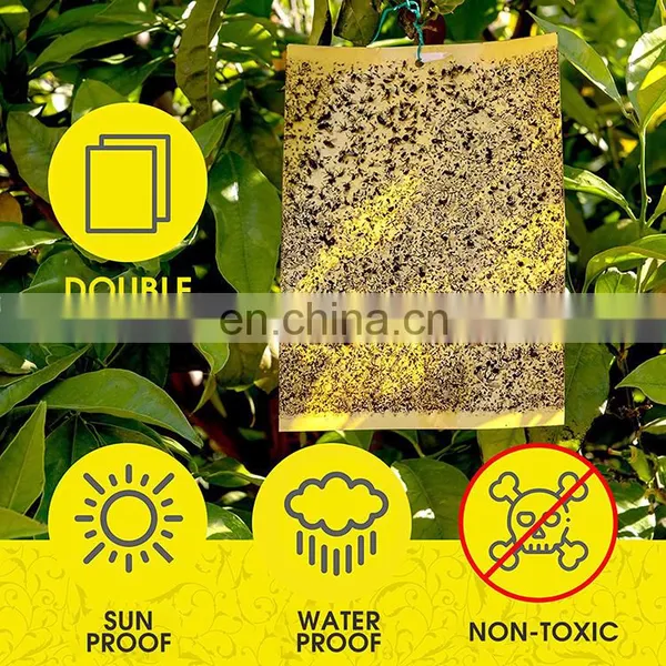 Yellow PP Board Sticky Insect Glue Traps photo-5