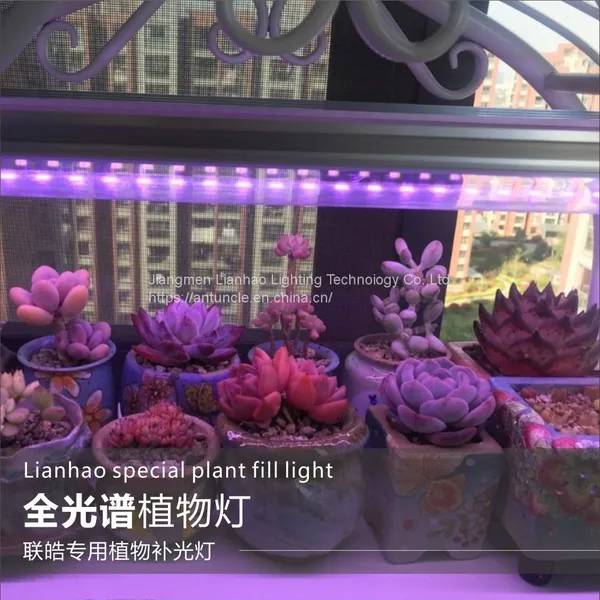 T8 Full Spectrum LED Plant Growth Lamp photo-2