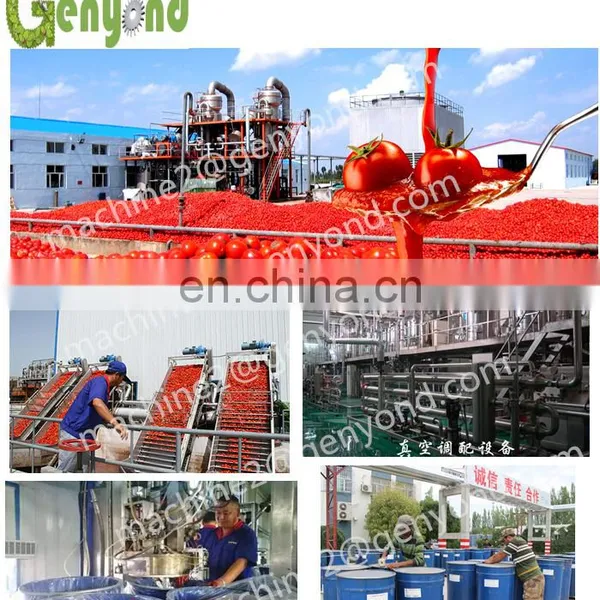 Canned Tomato Plant Processing Line Tomato Paste Turnkey Line Machine Tomato Jam Puree Turnkey Line Ketchup Production Plant photo-2