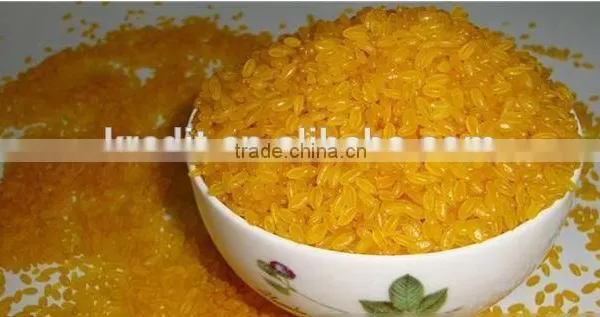 Instant Rice Porridge Making Machine photo-4