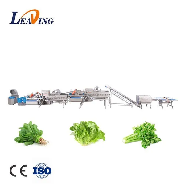 Energy Saving Commercial Vegetables and Fruit Washing Machine Industrial Automatic Stainless Steel Food Cleaning Washing Line photo-2