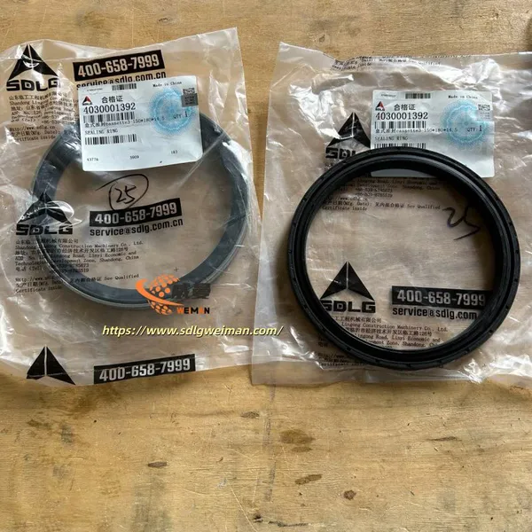 ORIGINAL SDLG SEALING RING 4030001392 APPLY FOR SDLG MOTOR GRADER G9200 G9220 photo-2