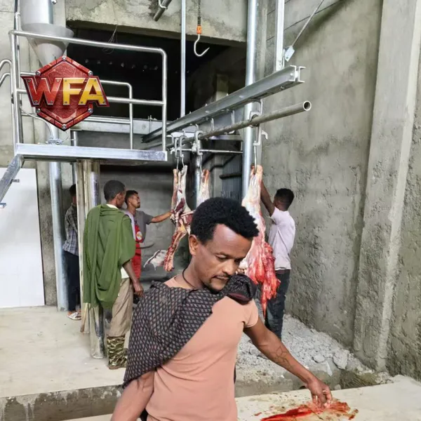 WFA Professional Cattle Slaughtering Line Equipment Cow Slaughter Machine Complete Sheep Killing Project for Factory photo-3