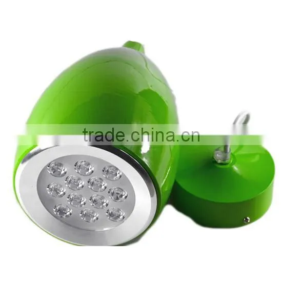 The Wax Gourd 9W 12W LED Pendant Lights Fashionable LED Art Chandelier Droplight photo-4
