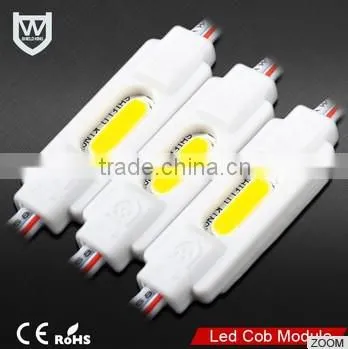 COB LED Type and InGaN Material ce Rohs Led Module Warranty 3 Years Cob Power Led Module Rgb for Advertising Channel Letter photo-3