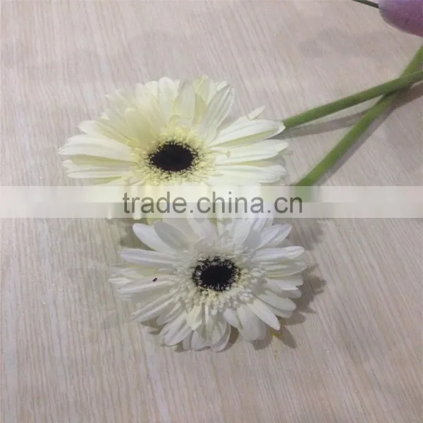 Hot Sales Perfume and Fresh Gerbera Cut Flowers photo-6