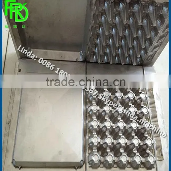 Pulp Molding Egg Tray Machine photo-5