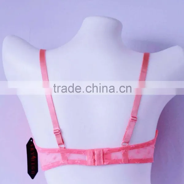 Made in China Ladies Lace Bra Mature Women Stylish Sexy Bra Supplier's Choice photo-3
