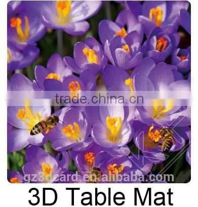 Hot Selling PP Plastic Table Mat/ 3D Lenticular Place Mat/ Free Sample 3D Place Mat photo-2