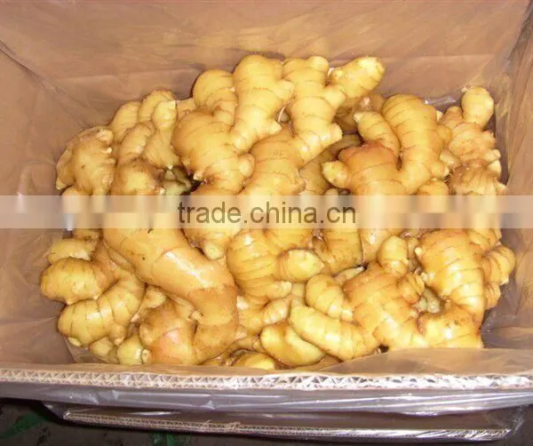 China Fresh Ginger Export the World photo-2