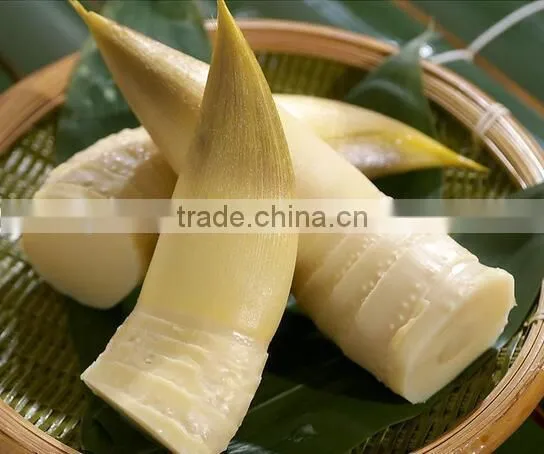 High Quality Canned Bamboo Shoot to European,American,Africa photo-2